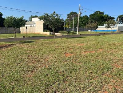 Terreno para Venda, em Araraquara, bairro Residencial Village Damha