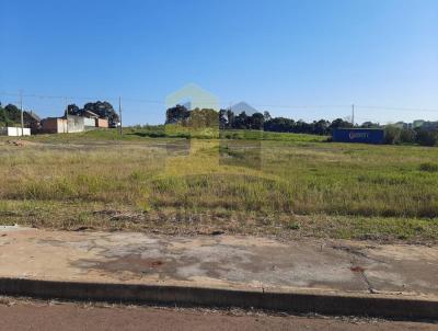 Lote para Venda, em Carambe, bairro Jardim das Naes