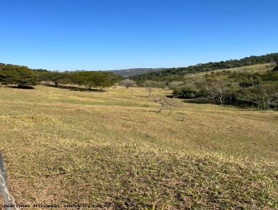 Fazenda para Venda, em Ipaussu, bairro rea Rural de Ipaussu