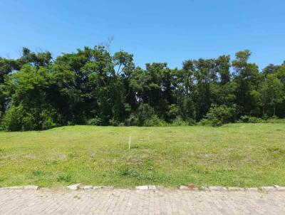 Terreno para Venda, em Santa Cruz do Sul, bairro Santo Incio