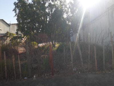 Terreno para Venda, em Uberlndia, bairro Nossa senhora das graas