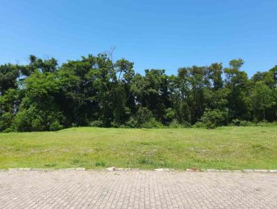 Terreno para Venda, em Santa Cruz do Sul, bairro Santo Incio