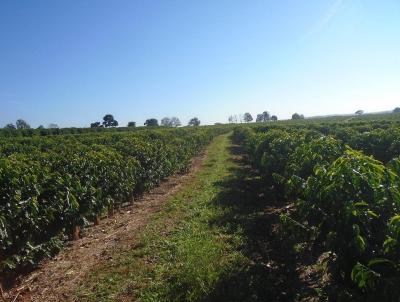 Fazenda para Venda, em Gara, bairro Centro (Jafa)