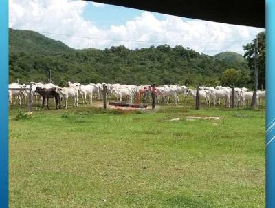 Terreno Comercial para Venda, em Mozarlndia, bairro Setor Central, 4 dormitrios