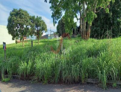 Terreno para Venda, em Anpolis, bairro Jardim das Amricas 1 Etapa