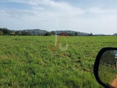 Terreno Comercial para Venda, em Campos Lindos, bairro Setor Central, 4 dormitrios, 1 banheiro, 2 sutes, 4 vagas