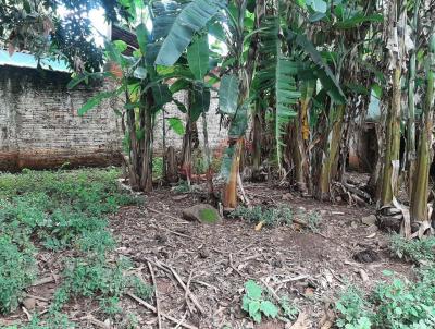 Terreno para Venda, em Anpolis, bairro Dom Pedro II