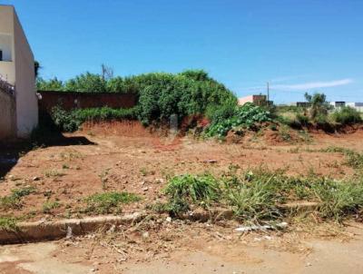 Terreno para Venda, em Anpolis, bairro Setor Sul Jamil Miguel