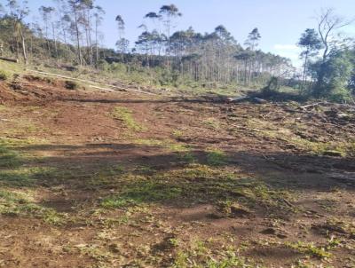 Fazenda para Venda, em So Cristovo do Sul, bairro rural