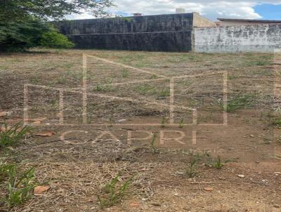 Terreno para Venda, em Indaiatuba, bairro Vila Todos os Santos