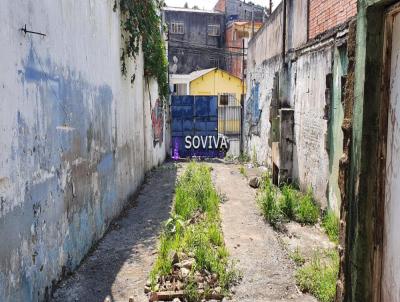 Terreno para Venda, em So Paulo, bairro Vila Primavera