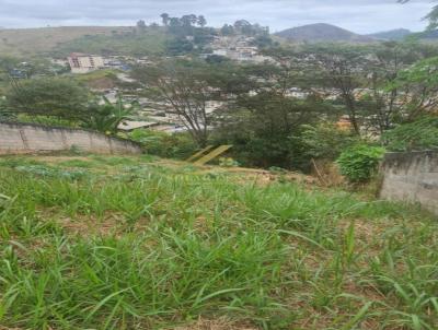 Lote para Venda, em Juiz de Fora, bairro Nova Benfica