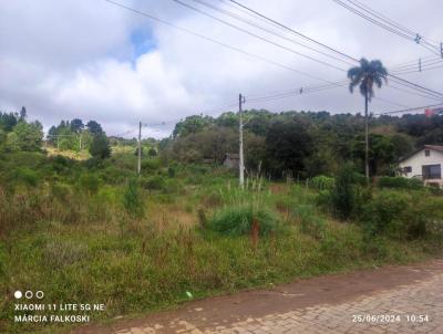 Terreno para Venda, em , bairro Desvio Rizzo