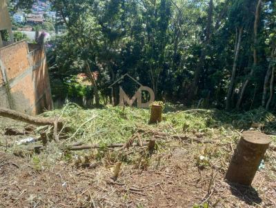 Terreno para Venda, em Teresópolis, bairro Iucas