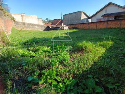 Terreno para Venda, em So Bento do Sul, bairro Braslia