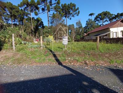 Terreno para Venda, em So Bento do Sul, bairro Braslia