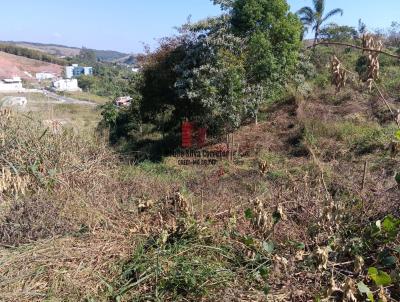 Terreno para Venda, em Juiz de Fora, bairro Residencial So Luiz