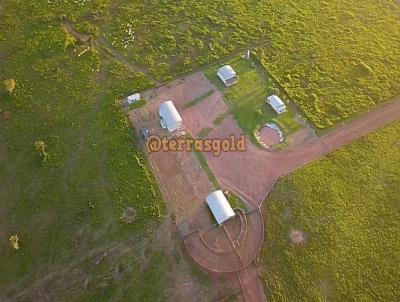 Fazenda para Venda, em Novo Progresso, bairro Zona rural