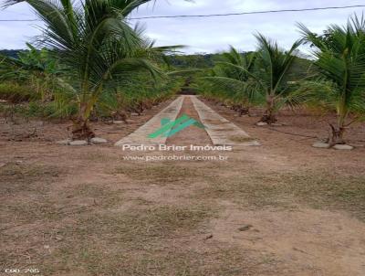 Chcara para Venda, em Marilac, bairro -, 3 dormitrios, 2 banheiros, 1 sute