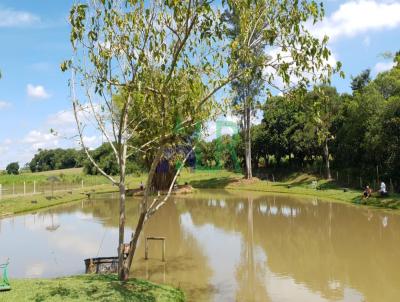 Chcara para Venda, em Quadra, bairro Anhanguera, 8 dormitrios, 8 banheiros, 8 sutes, 17 vagas