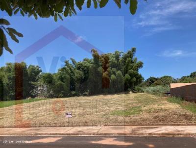 Terreno Urbano para Venda, em Pindorama, bairro Residencial Giovana