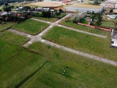 Terreno para Venda, em Iara, bairro Rio dos Porcos