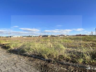 Terreno para Venda, em Araquari, bairro Centro