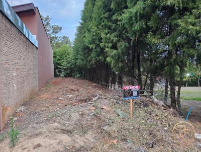 Terreno para Venda, em Leme, bairro Jardim Letcia