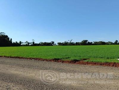 rea Rural para Venda, em Humait, bairro interior