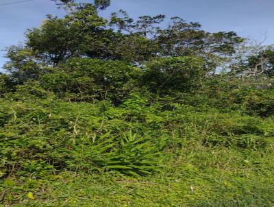 Terreno para Venda, em Itanham, bairro Gaivota