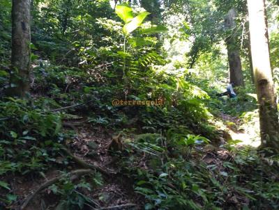 Fazenda para Venda, em Nova Ubirat, bairro Zona rural