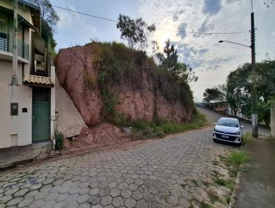 Terreno para Venda, em Santa Branca, bairro Vila So Sebastio