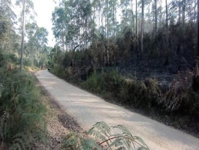 Stio para Venda, em Mairipor, bairro Pedra Vermelha (Terra Preta)