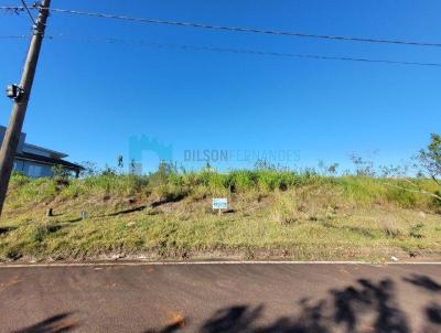 Lote para Venda, em Iara, bairro Cristo Rei