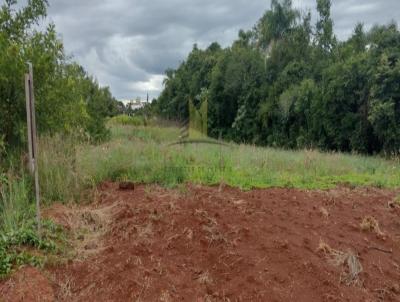 Terreno para Venda, em Dois Irmos, bairro Industrial