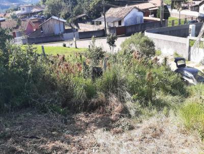 Terreno para Venda, em Imaru, bairro Centro