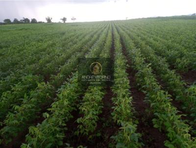 Fazenda para Venda, em Arraias, bairro 100 Km de Braslia via BR-060, 4 dormitrios, 4 sutes