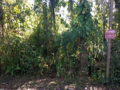 Terreno para Venda, em So Sebastio, bairro Boraceia