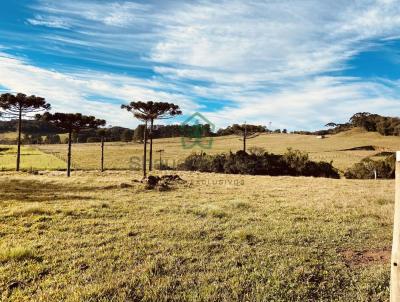 Terreno para Venda, em Rancho Queimado, bairro Queimada Grande