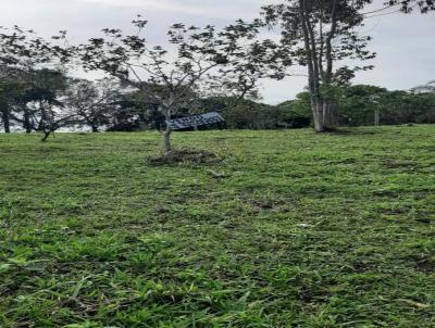 Terreno para Venda, em Imaru, bairro Figueira Grande