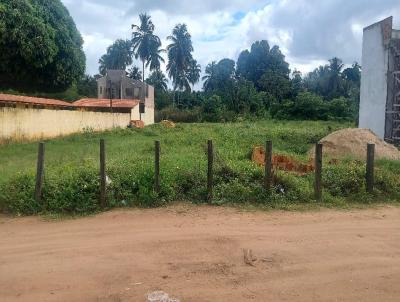 Terreno para Venda, em Jaramataia, bairro Barrira do Buqueiro