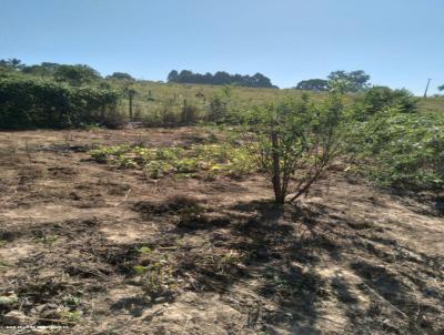 Terreno para Venda, em , bairro Mirandas