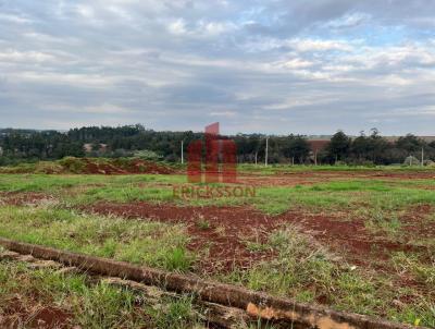 Terreno para Venda, em Santa Rosa, bairro Auxiliadora