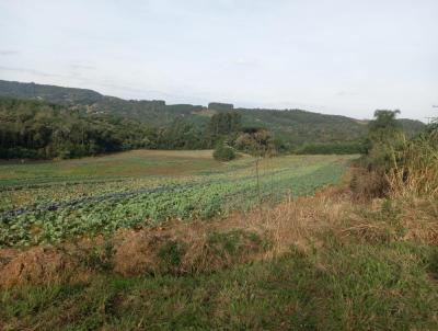 Stio / Chcara para Venda, em Santa Maria do Herval, bairro Boa Vista