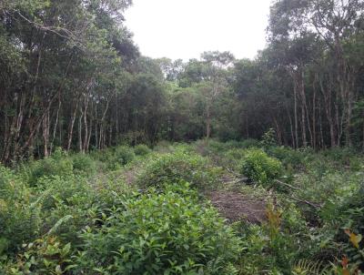 Terreno para Venda, em Itanham, bairro Recanto dos Imigrantes