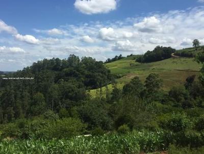 Chcara para Venda, em Santa Cruz do Sul, bairro Linha Felipe Neri, 4 dormitrios, 1 banheiro, 1 vaga