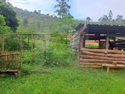 Chcara para Venda, em Juiz de Fora, bairro Ewbank