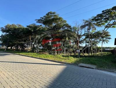 Terreno para Venda, em Joinville, bairro Vila Nova