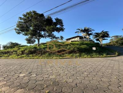 Terreno para Venda, em Blumenau, bairro Ponta Aguda