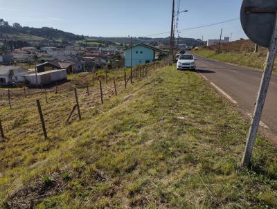 Lote para Venda, em Brunpolis, bairro centro